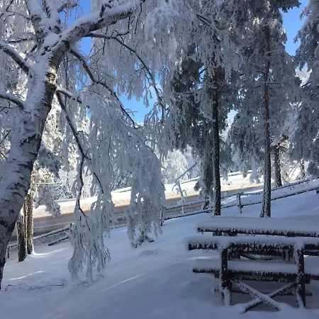 Vikendica Martinovic Holiday home Divcibare