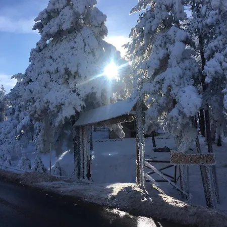 Vikendica Martinovic Holiday home Divcibare