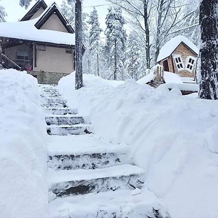 Vikendica Martinovic Holiday home Divcibare