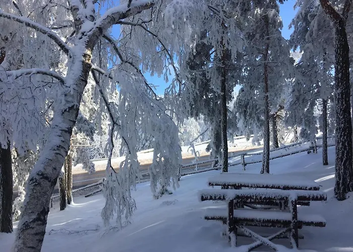 Vikendica Martinovic 펜션 Divčibare