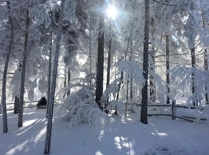 Vikendica Martinovic 펜션 Divčibare